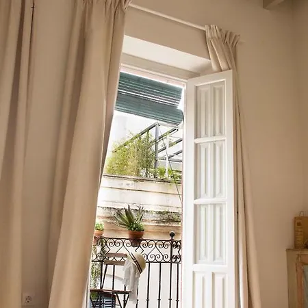 Eva Recommends Sentencia Sevilla